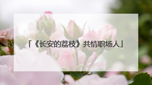 《长安的荔枝》共情职场人