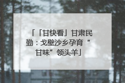 「甘快看」甘肃民勤：戈壁沙乡孕育“甘味”领头羊