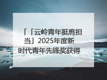 「云岭青年挺膺担当」2025年度新时代青年先锋奖获得者王敏奇——澜沧江上好渔人