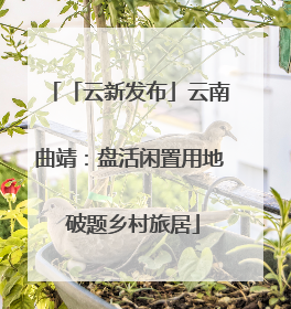 「云新发布」云南曲靖：盘活闲置用地 破题乡村旅居