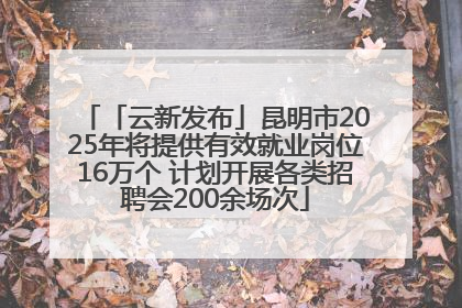 「云新发布」昆明市2025年将提供有效就业岗位16万个 计划开展各类招聘会200余场次