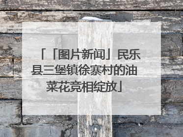 「图片新闻」民乐县三堡镇徐寨村的油菜花竞相绽放