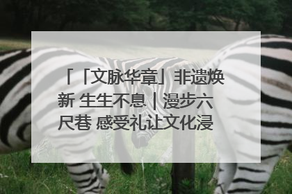 「文脉华章」非遗焕新 生生不息｜漫步六尺巷 感受礼让文化浸润的“巷”往生活