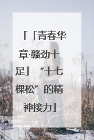 「青春华章·赣劲十足」“十七棵松”的精神接力