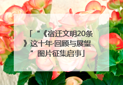 “《宿迁文明20条》这十年·回顾与展望”图片征集启事