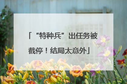 “特种兵”出任务被截停！结局太意外