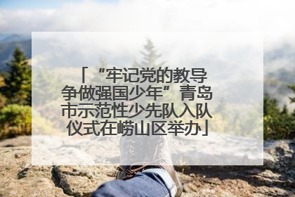 “牢记党的教导 争做强国少年”青岛市示范性少先队入队仪式在崂山区举办