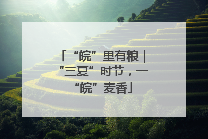 “皖”里有粮｜“三夏”时节，一“皖”麦香