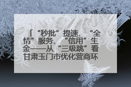“秒批”提速、“全情”服务、“信用”生金——从“三级跳”看甘肃玉门市优化营商环境的进阶之路