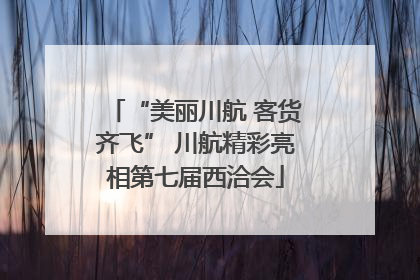 “美丽川航 客货齐飞” 川航精彩亮相第七届西洽会