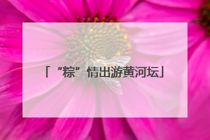 “粽”情出游黄河坛