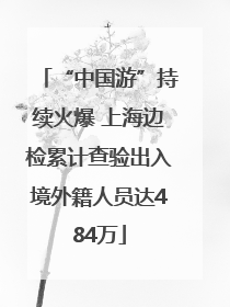 “中国游”持续火爆 上海边检累计查验出入境外籍人员达484万