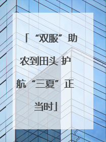 “双服”助农到田头 护航“三夏”正当时