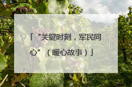 “关键时刻，军民同心”（暖心故事）