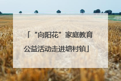 “向阳花”家庭教育公益活动走进塘村镇