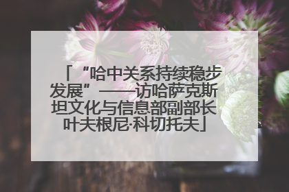 “哈中关系持续稳步发展”——访哈萨克斯坦文化与信息部副部长叶夫根尼·科切托夫