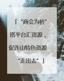 “商会为桥”搭平台汇资源，促连山特色资源“走出去”