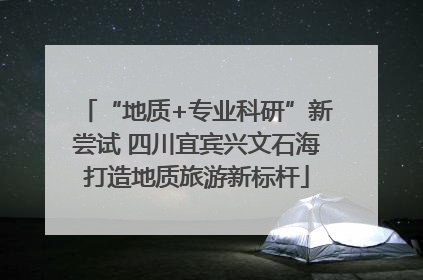 “地质+专业科研”新尝试 四川宜宾兴文石海打造地质旅游新标杆