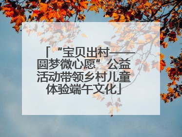 “宝贝出村——圆梦微心愿”公益活动带领乡村儿童体验端午文化