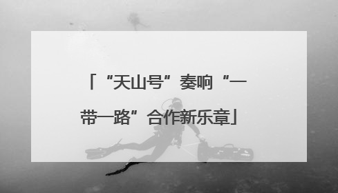“天山号”奏响“一带一路”合作新乐章