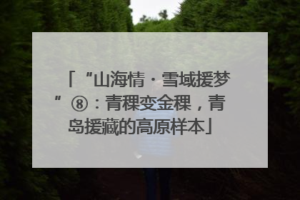“山海情・雪域援梦”⑧：青稞变金稞，青岛援藏的高原样本