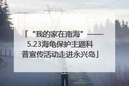 “我的家在南海”——5.23海龟保护主题科普宣传活动走进永兴岛