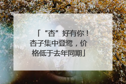 “杏”好有你！杏子集中登鹭，价格低于去年同期