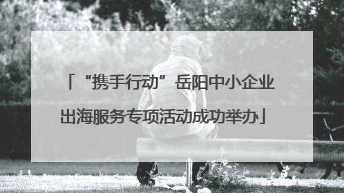 “携手行动”岳阳中小企业出海服务专项活动成功举办