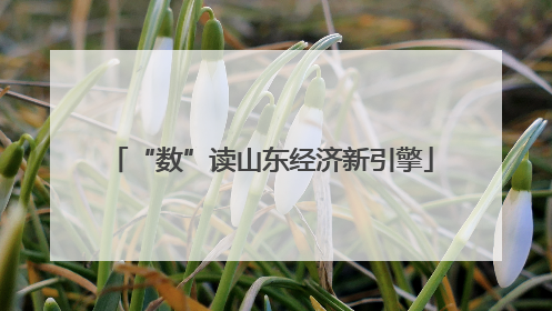“数”读山东经济新引擎