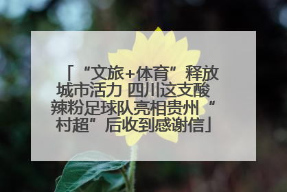 “文旅+体育”释放城市活力 四川这支酸辣粉足球队亮相贵州“村超”后收到感谢信