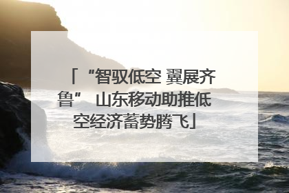 “智驭低空 翼展齐鲁” 山东移动助推低空经济蓄势腾飞