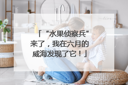 “水果侦察兵”来了，我在六月的威海发现了它！