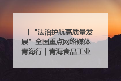 “法治护航高质量发展”全国重点网络媒体青海行｜青海食品工业协会：架起“青字号”美食的产业化桥梁