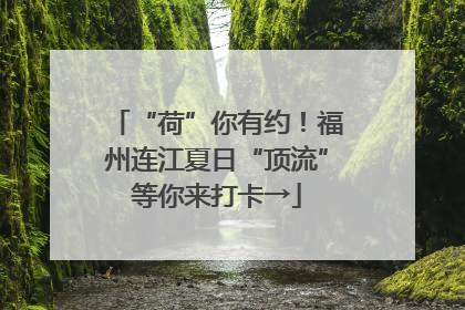 “荷”你有约！福州连江夏日“顶流”等你来打卡→