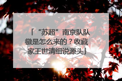 “苏超”南京队队徽是怎么来的？收藏家王世清细说源头