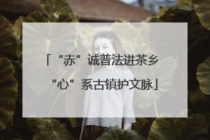 “赤”诚普法进茶乡 “心”系古镇护文脉