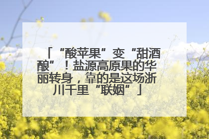 “酸苹果”变“甜酒酿”！盐源高原果的华丽转身，靠的是这场浙川千里“联姻”