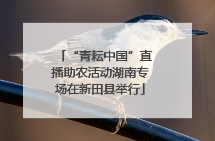 “青耘中国”直播助农活动湖南专场在新田县举行