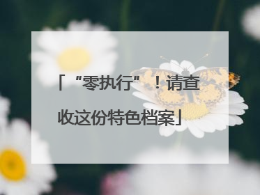 “零执行”！请查收这份特色档案