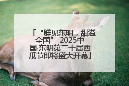 “鲜见东明，甜溢全国” 2025中国·东明第二十届西瓜节即将盛大开幕