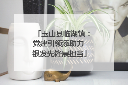 玉山县临湖镇：党建引领添助力 银发先锋展担当