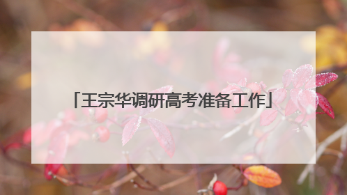 王宗华调研高考准备工作