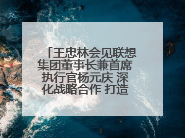 王忠林会见联想集团董事长兼首席执行官杨元庆 深化战略合作 打造世界级光电子信息产业集群