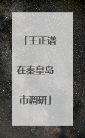 王正谱在秦皇岛市调研