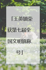 王英镇荣获第七届全国文明镇称号