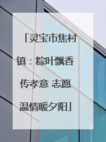 灵宝市焦村镇：粽叶飘香传孝意 志愿温情暖夕阳