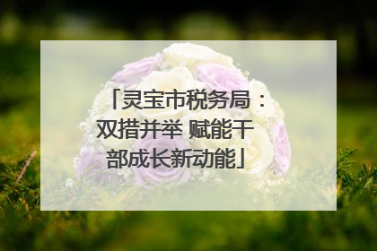 灵宝市税务局：双措并举 赋能干部成长新动能