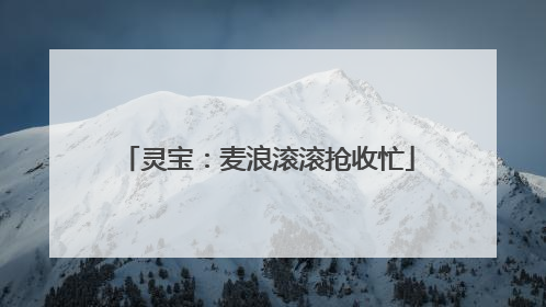 灵宝：麦浪滚滚抢收忙