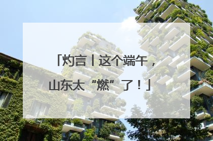 灼言丨这个端午，山东太“燃”了！