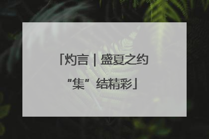 灼言｜盛夏之约 “集”结精彩